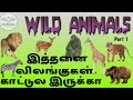 35 Wild Animals In Tamil And English Part 1