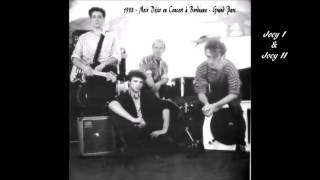 1988- Noir Désir à Bordeaux Grand Parc -  Joey I et joey II