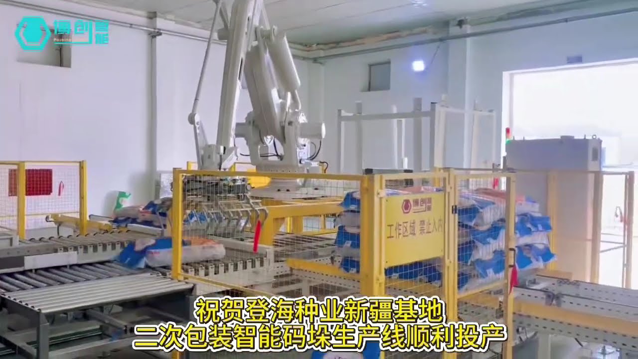 Ligne d'emballage entièrement automatisée pour semences de maïs ou de riz par BORCH Packaging