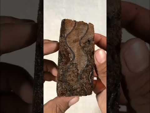 yummy cute ALBINA Cake milky cream with cocoa#shorts