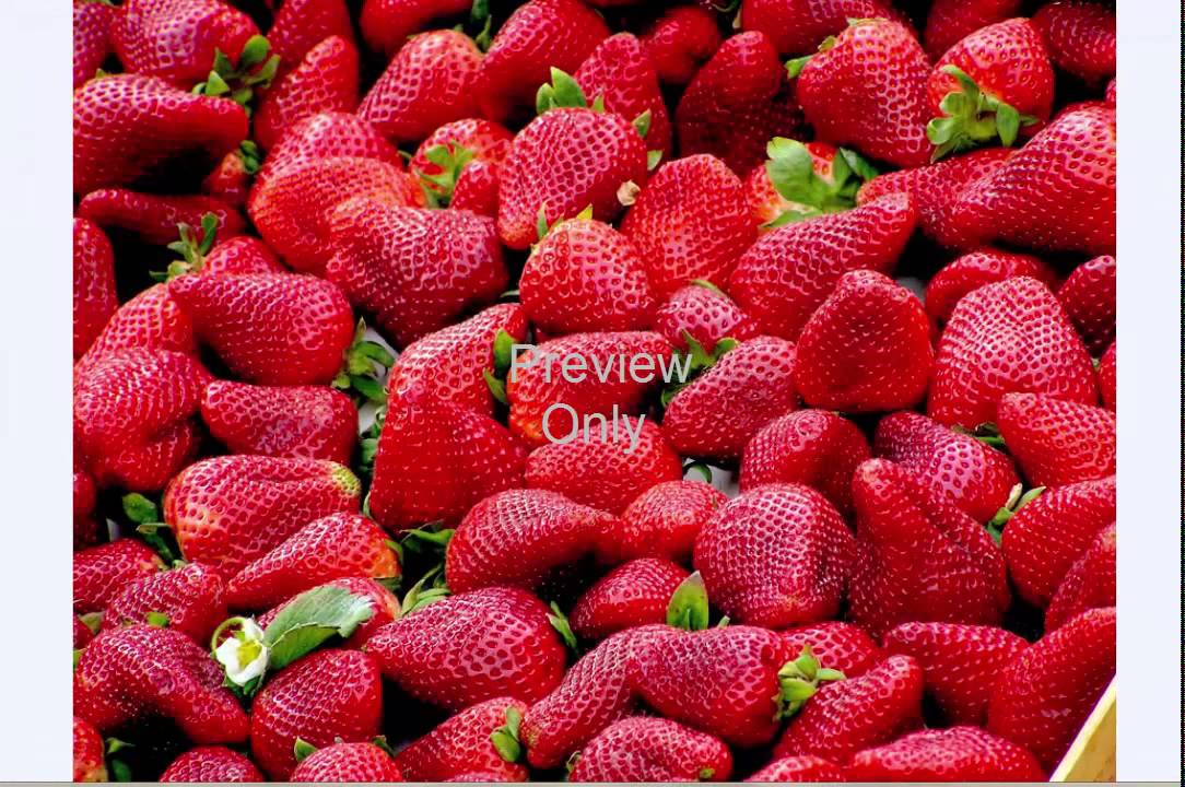 Royalty Free Stock Images HD Quality, 10 Fruit Pictures(Commercial use)