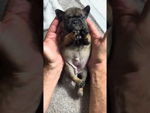 Video 3