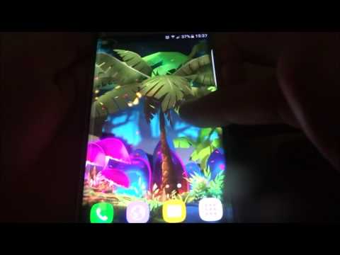 Mushroom Firefly Jungle LWP Video