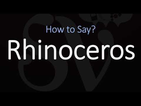 How to Pronounce Rhinoceros? (CORRECTLY) British & American English Pronunciation