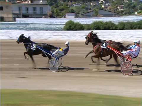 Trotto 30/04/2017 - 3ª corsa