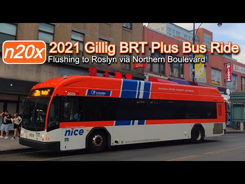 N20x Bus Schedule