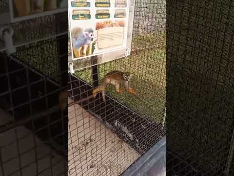 Weekend di "THE NICE PARK RUMPIN"