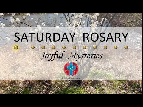 Saturday Rosary • Joyful Mysteries of the Rosary 💙 April 27, 2024 VIRTUAL ROSARY - MEDITATION