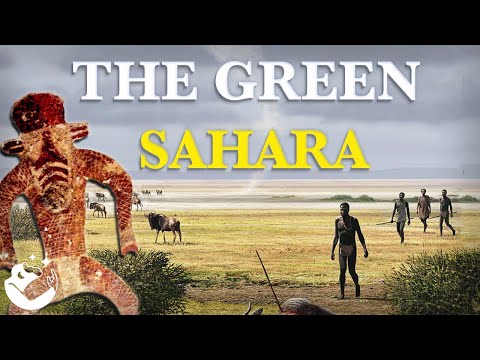 The Perplexing Prehistory of the Sahara