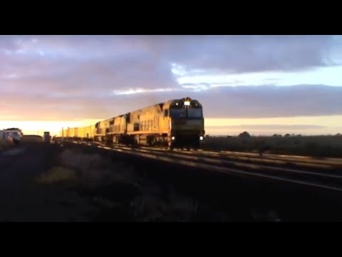 Early Morning Trains at Gheringhap Loop : Victorian Railways / Australia