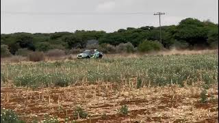 Global Elite 300 2025 (Kameel) Video deur Willie Du Preez
