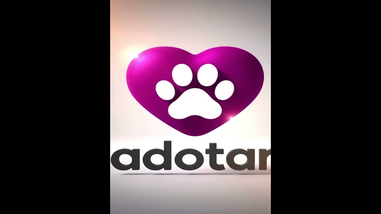 Cachorro raça SRD-ViraLata idade 7 a 11 meses nome Theodoro 