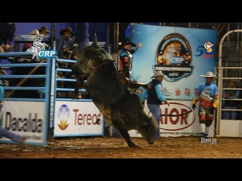 Rodeio da FAPI de Ourinhos 2016 - MELHORES MONTARIAS / SEMI FINAL