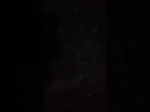 Nawiedzony cmentarz  koni