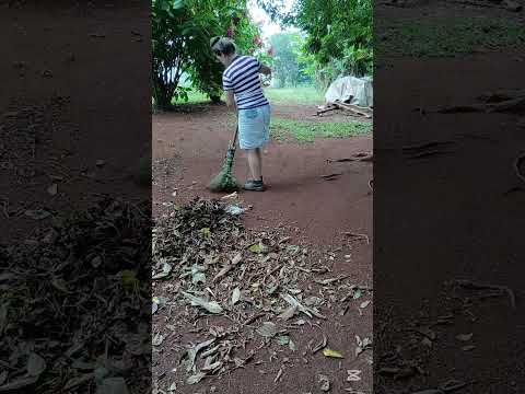 Mi rutina de hoy ala mañana en la colonia #elsoberbio #argentina #misiones 