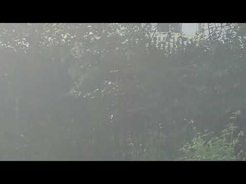 Will'O'Wisp caught on tape in Alabama