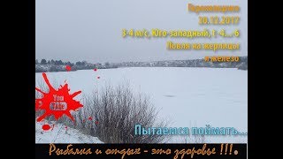 Куда съездить в пензенской области на рыбалку