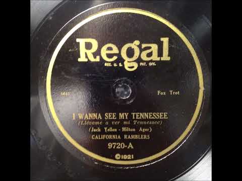 California Ramblers "I Wanna See My Tennessee" 1924 Roaring Twenties Jazz Band 78 RPM