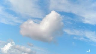 Open Skies - Omar Akram