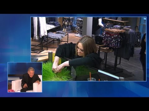 エレン、お気に入りのLOLな瞬間を振り返る (Ellen Looks Back at Her Favorite LOL Moments)