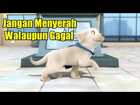 Video Motifasi Dan Inspirasi " Jangan Menyerah Walaupun Gagal"