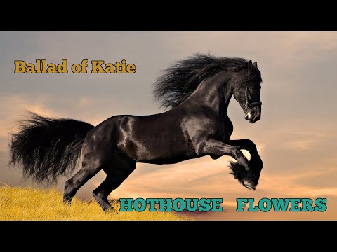 Hothouse Flowers - Ballad of Katie