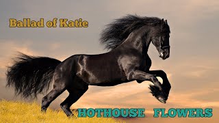 Hothouse Flowers - Ballad of Katie