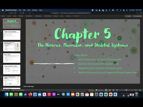 第 5 章 - 神經、肌肉和骨骼系統 (Chapter 5 - The Nervous, Muscular, and Skeletal Systems)