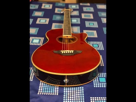 Tagima VENTURA Semi Acoustic slim body (Guitar Islamabad Rawalpindi) Pakistan guitars