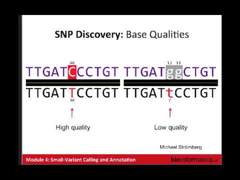Small Variant Calling and Annotation