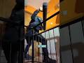 Making Door Unbreakable with Portable Door Jammer