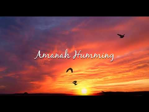 Nasheed - Amanah Humming