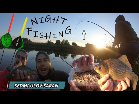 Noćno pecanje ŠARANA na PLOVAK - UDARIO je ujutru!!! 👍🐟😁(DULE MENADZER - PECANJE U POKUŠAJU) *extra*
