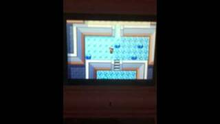 Pokemon sapphire 8th gym