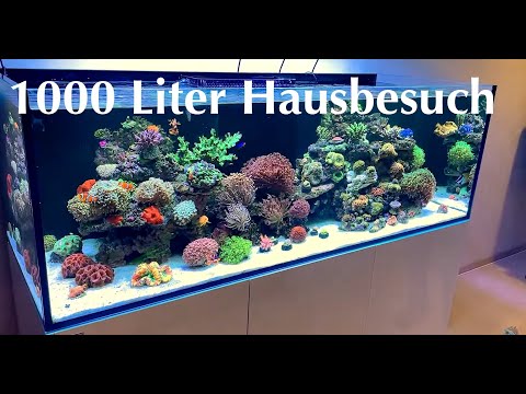 1000 Liter Meerwasser ! Aquaforest Ocean Guard System Aquarium