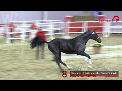 08 Junghengst v. Danciano - Fürst Heinrich