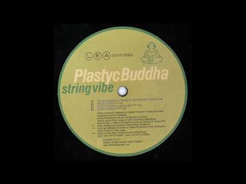 Plastyc Buddha ‎– String Vibe (Minus 8 Remix)