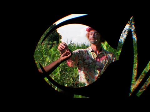 Ennanga Vision - Teaser