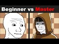 Chess Master vs Beginner | Explained