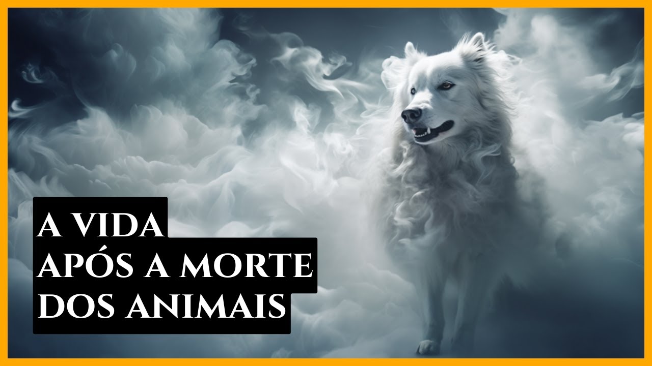 A Desencarnação dos Animais | 8 Curiosidades Que Você Não Sabia