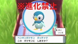 【ポケモンBDSP】ポッチャマ一匹でクリアするダイパリメイク#1