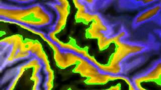 the brian jonestown massacre spanish bee