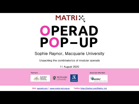 Sophie Raynor - Unpacking the combinatorics of modular operads
