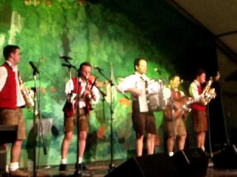 Oberkrainer Power-Veseli svatje