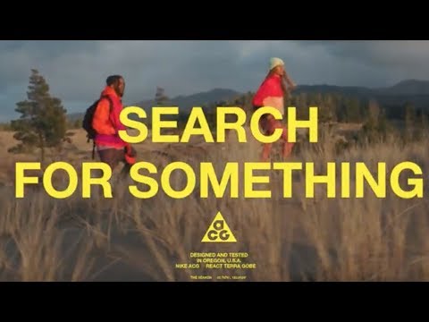 ⁣The Search