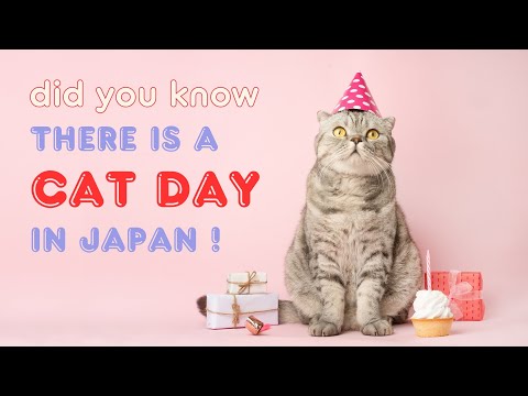【2月22日は猫の日】外国人が語る！日本の「猫の日」の由来とは？