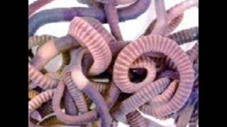 Miss Hélium - Tuez les tous (ludwig von 88 cover)