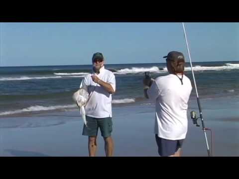 download lagu mp3 mp4 Pauls Fishing Byron Bay, download lagu Pauls Fishing Byron Bay gratis, unduh video klip Download Pauls Fishing Byron Bay Mp3 dan Mp4 Free All Gratis