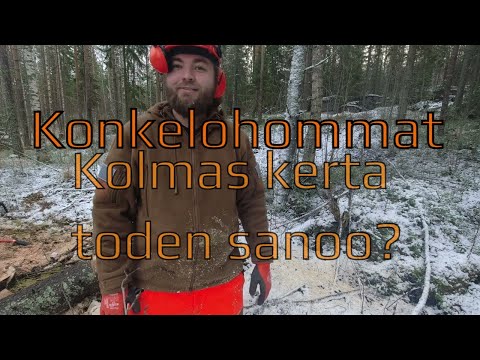 Kuusi konkelossa | Stihl laulamaan