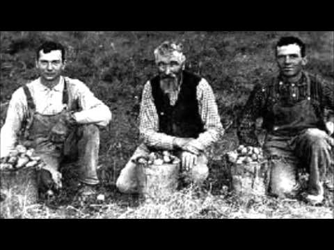 St Patrick's Day 2016